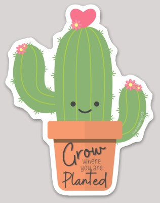 Grow Where you are Planted