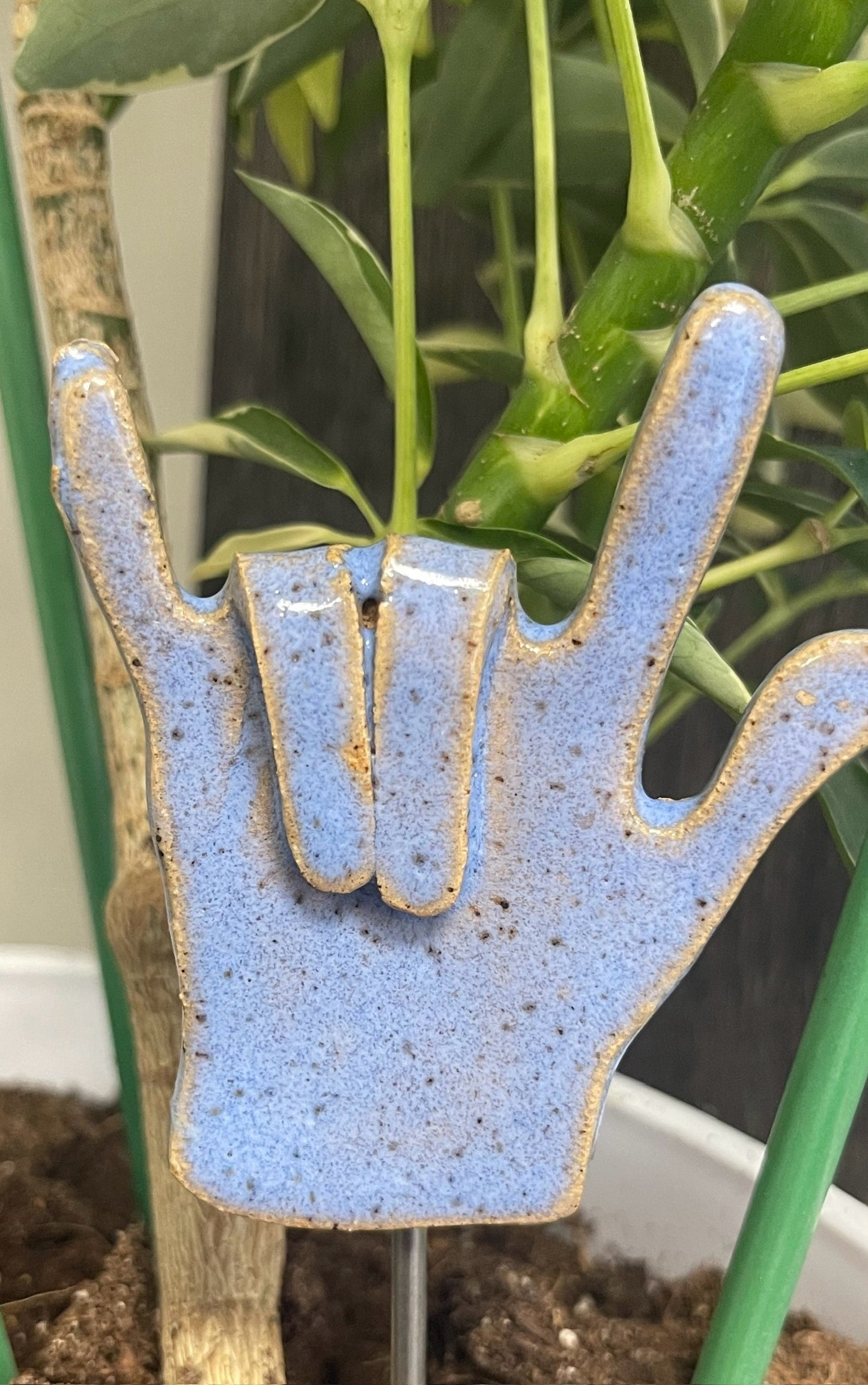 Plant Buddies