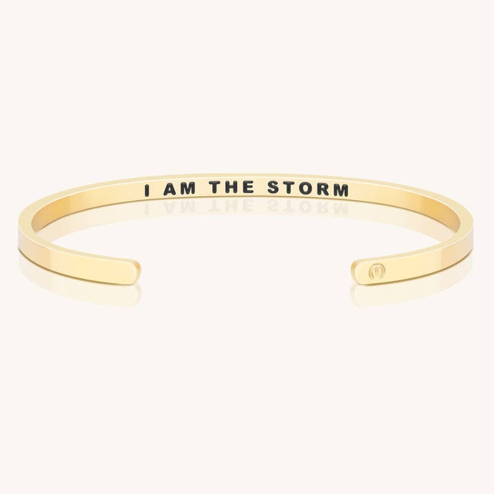 I Am The Storm