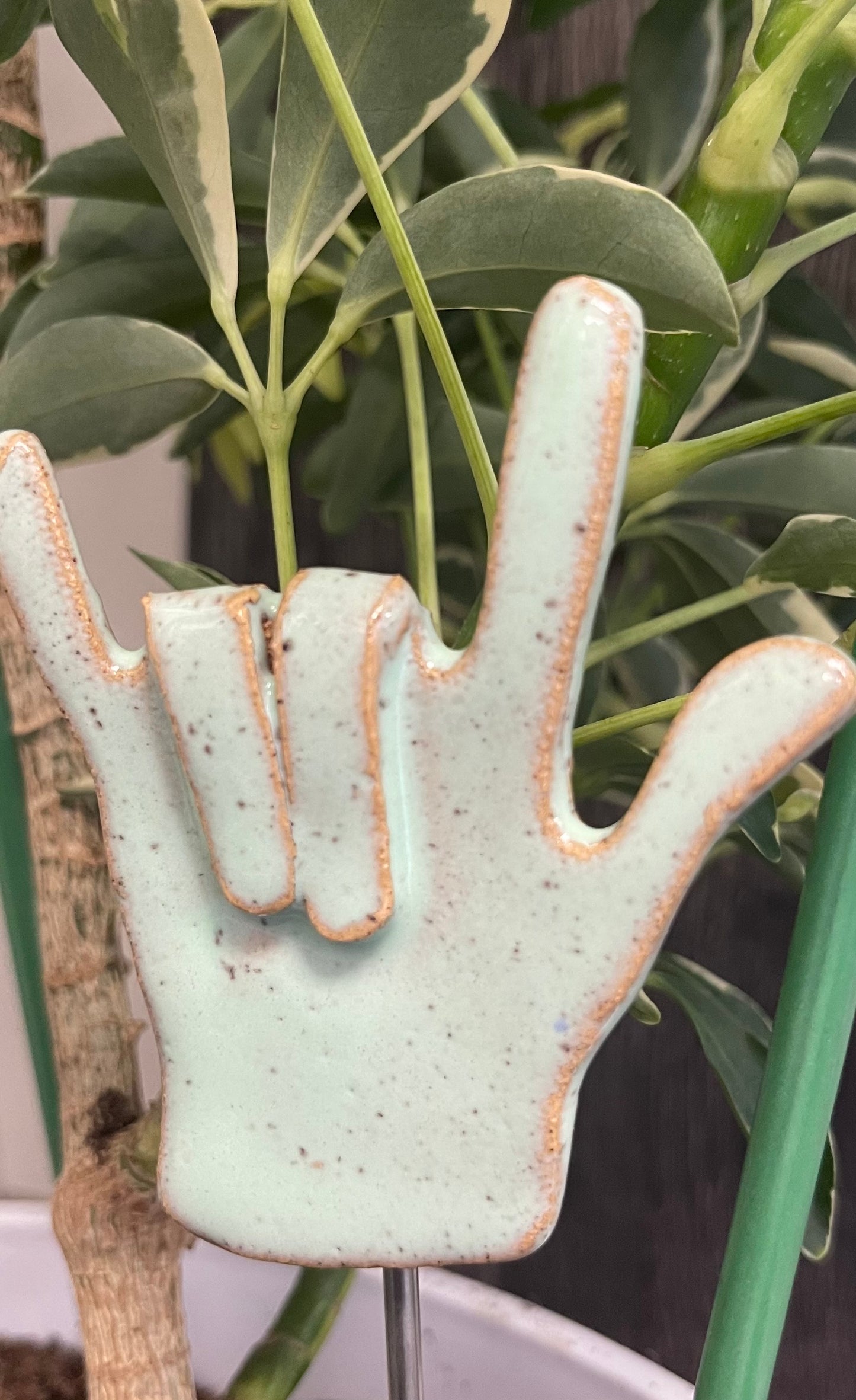 Plant Buddies