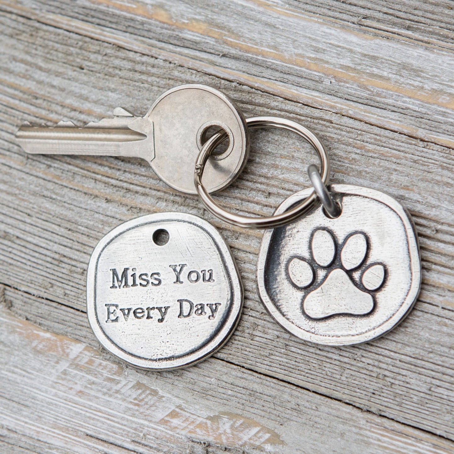 Pawprints Left By You