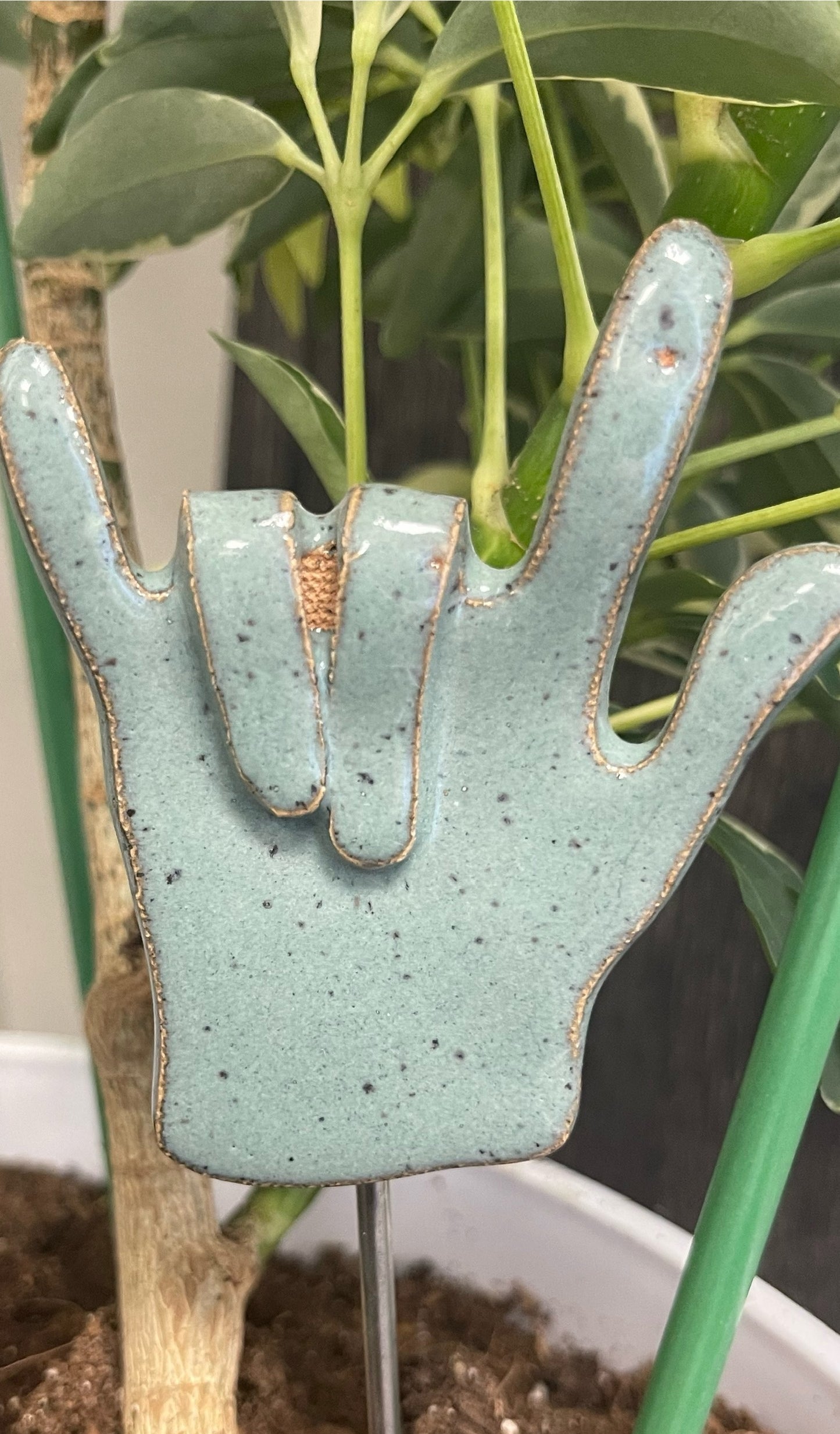 Plant Buddies