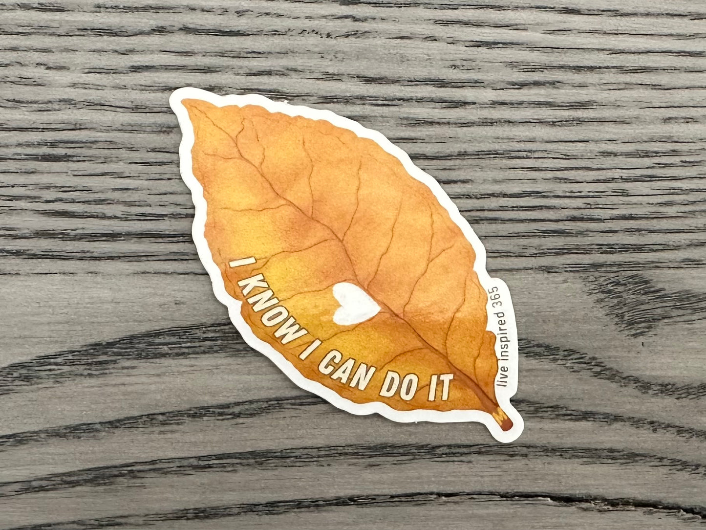 I know I can do it | Sticker