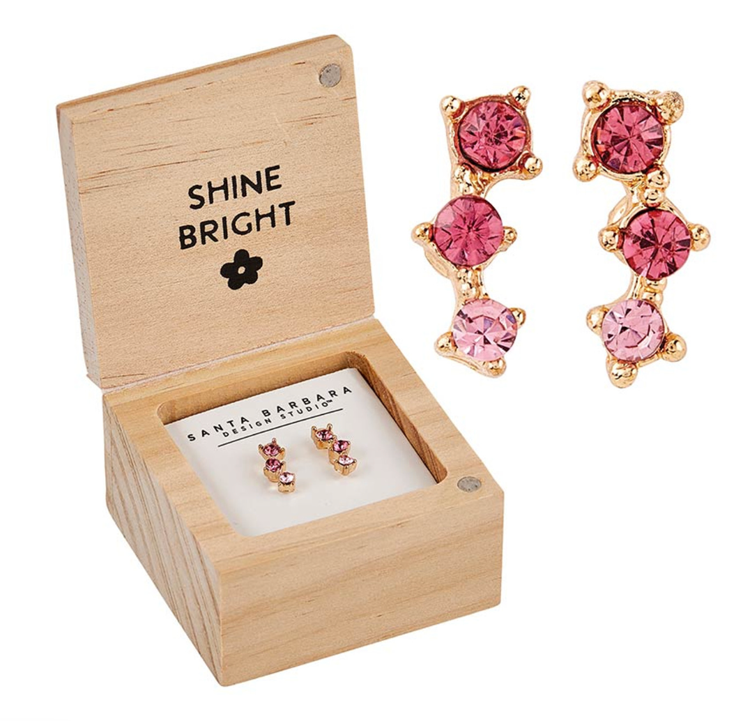 Treasure Box Earrings