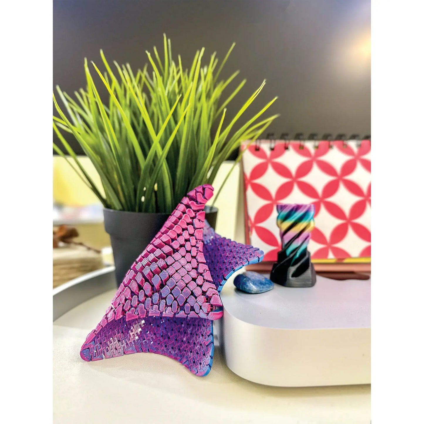 3D Printed Starfish Fidget