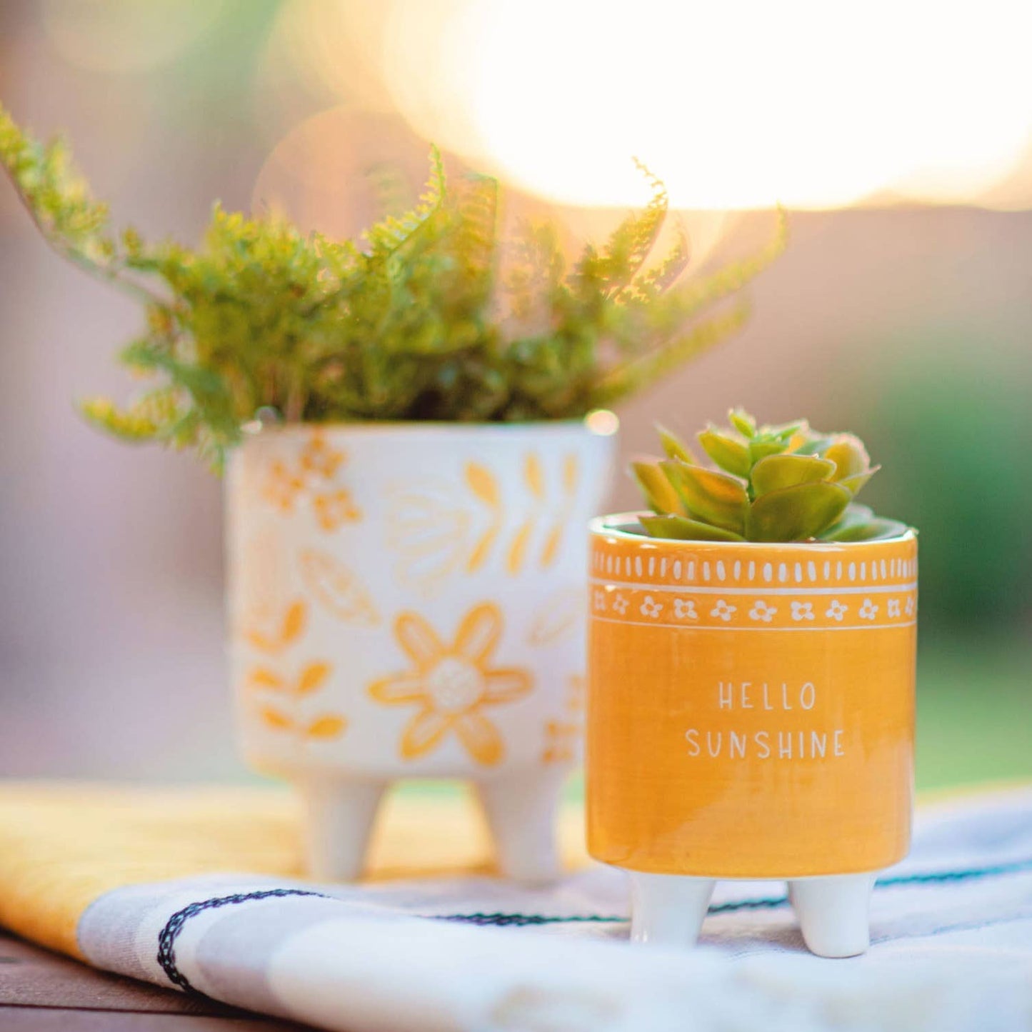 Wax Resist Planters Set