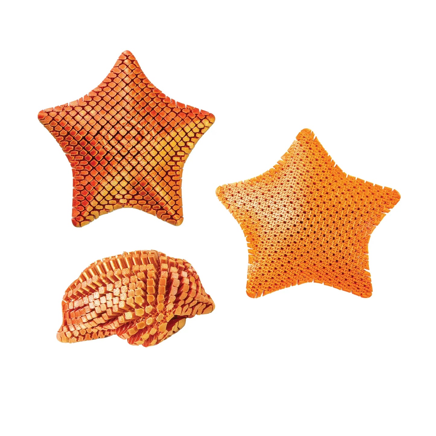 3D Printed Starfish Fidget
