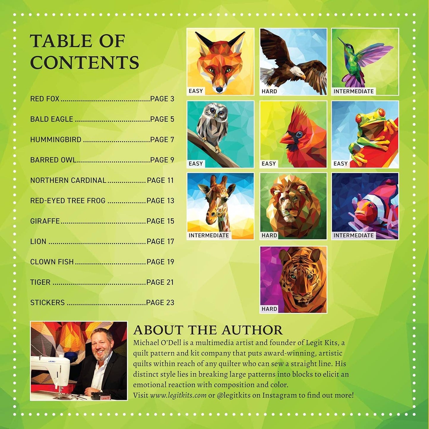Ultimate Animal Kingdom Sticker Painting - 10 Paintings