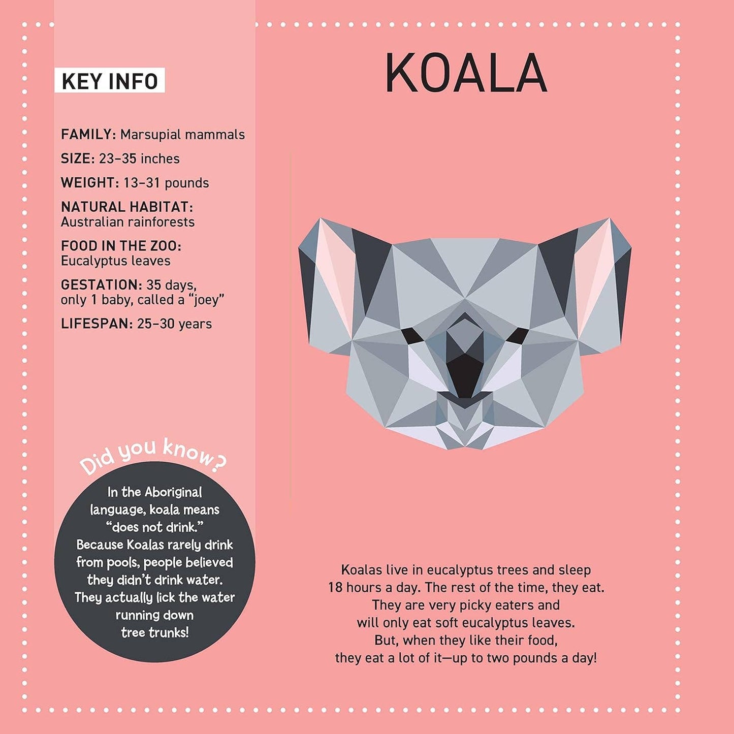 My Sticker Paintings: Zoo