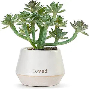 Loved Just Because | Mini Faux Succulent