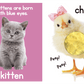 Adorable Animals Touch and Feel Book