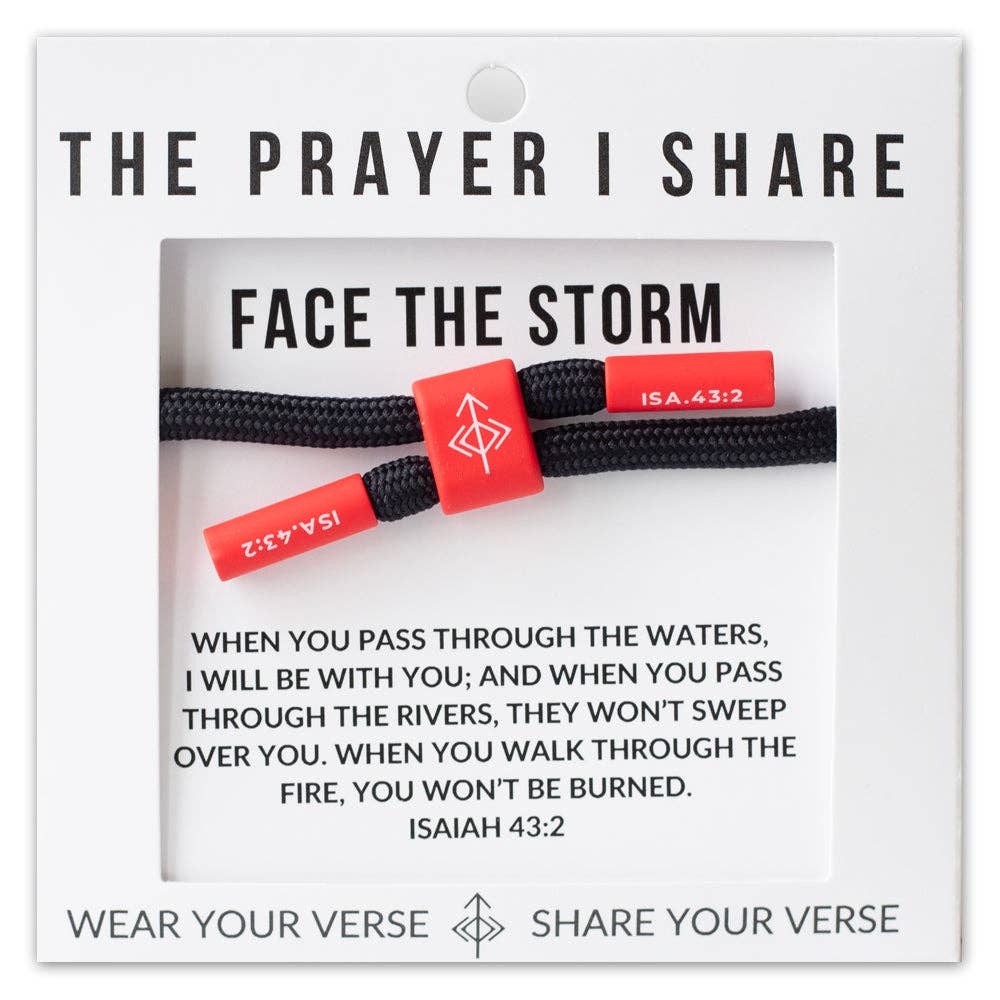 Face the Storm