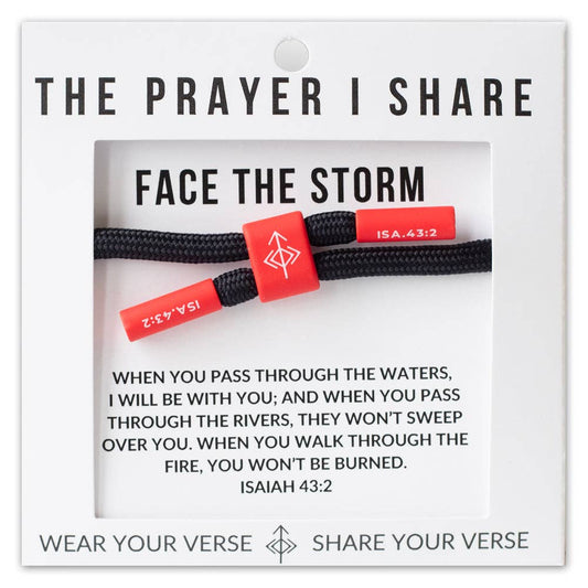 Face the Storm