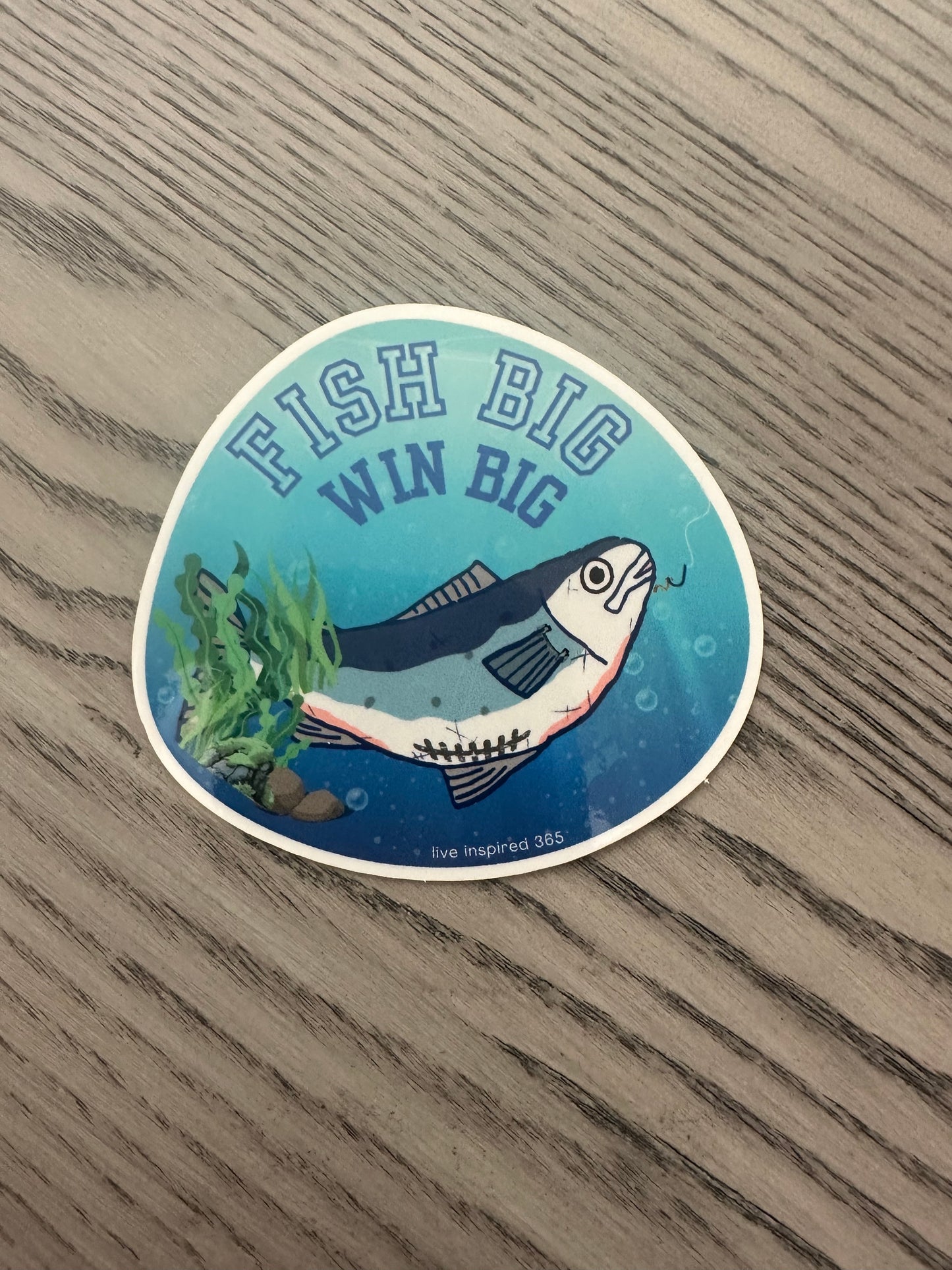 Fish Big Win Big | Sticker