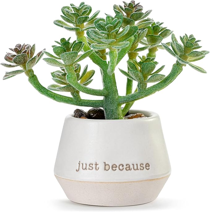 Loved Just Because | Mini Faux Succulent