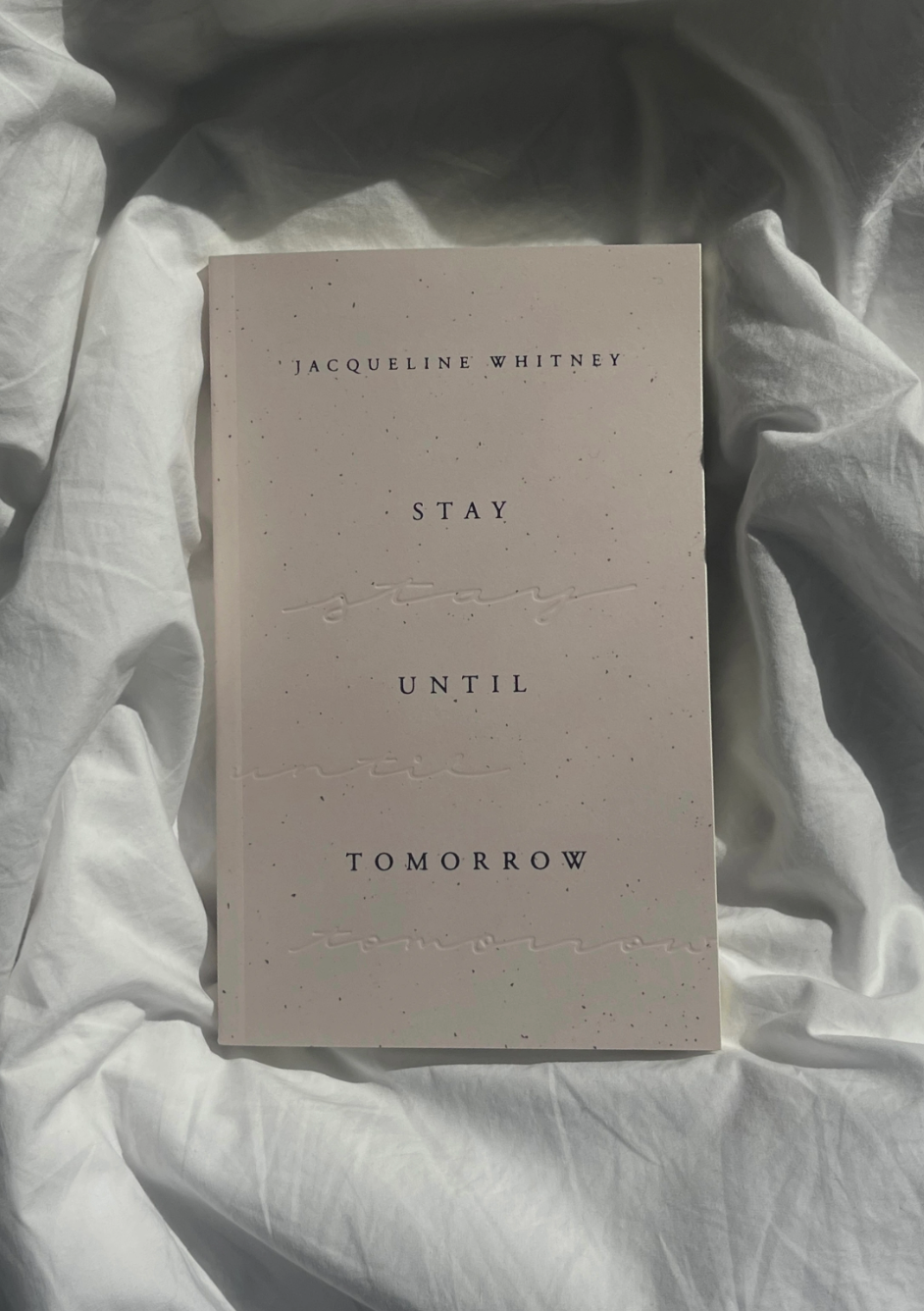 Stay Until Tomorrow - book