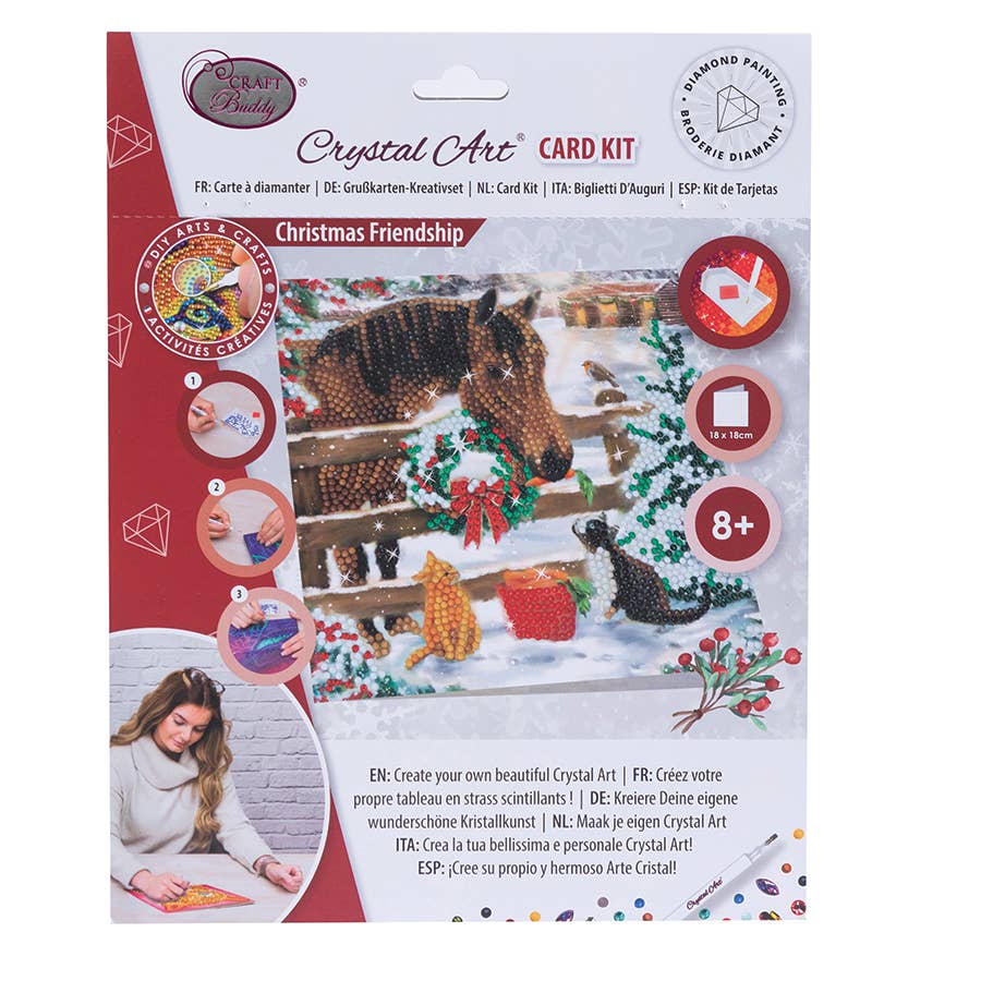 Christmas Friendship Crystal Art Card Kit