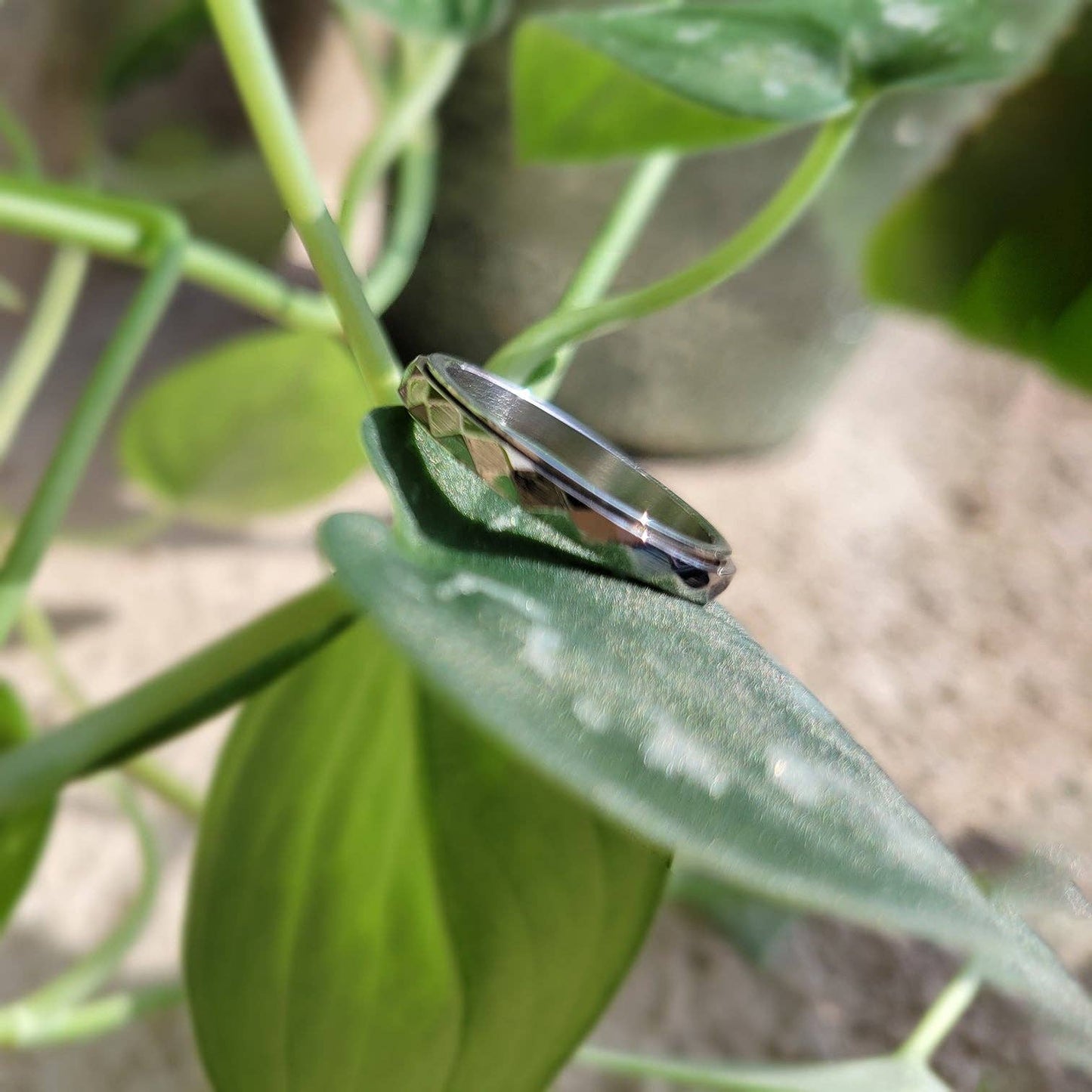 Dainty Fidget Ring