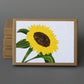 Sunflower Box