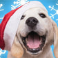 Santa Paws Mini Jigsaw Puzzle