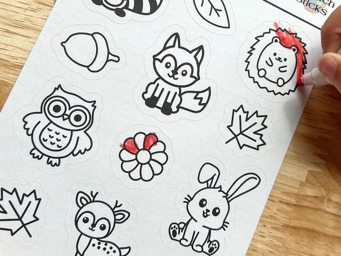 Woodland Forest Animal Craft and Gift Set for Kids