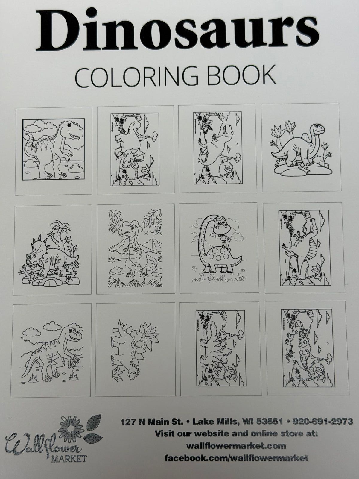 Dinosaurs Spiral Coloring Book