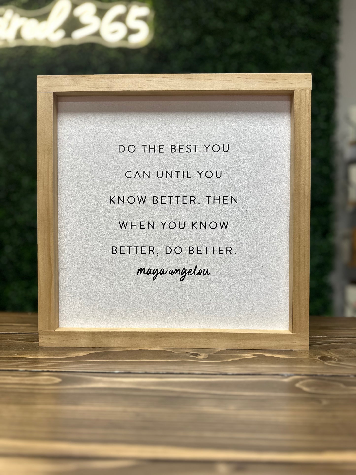 Do the Best You Can | Wall Sign