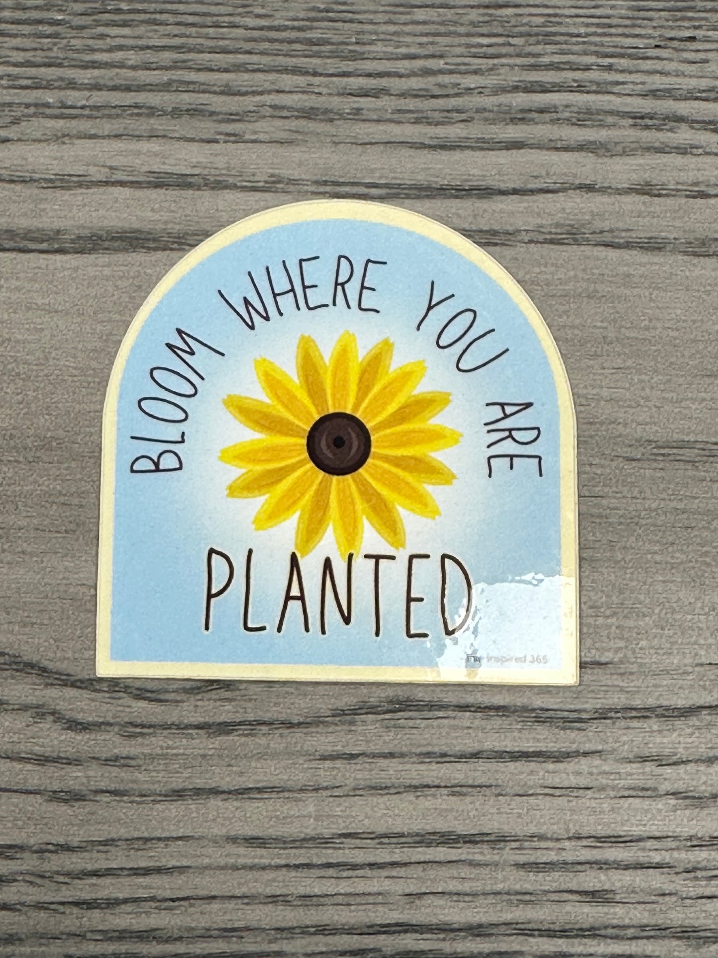 Bloom Where You Are Planted - Daisy | Sticker