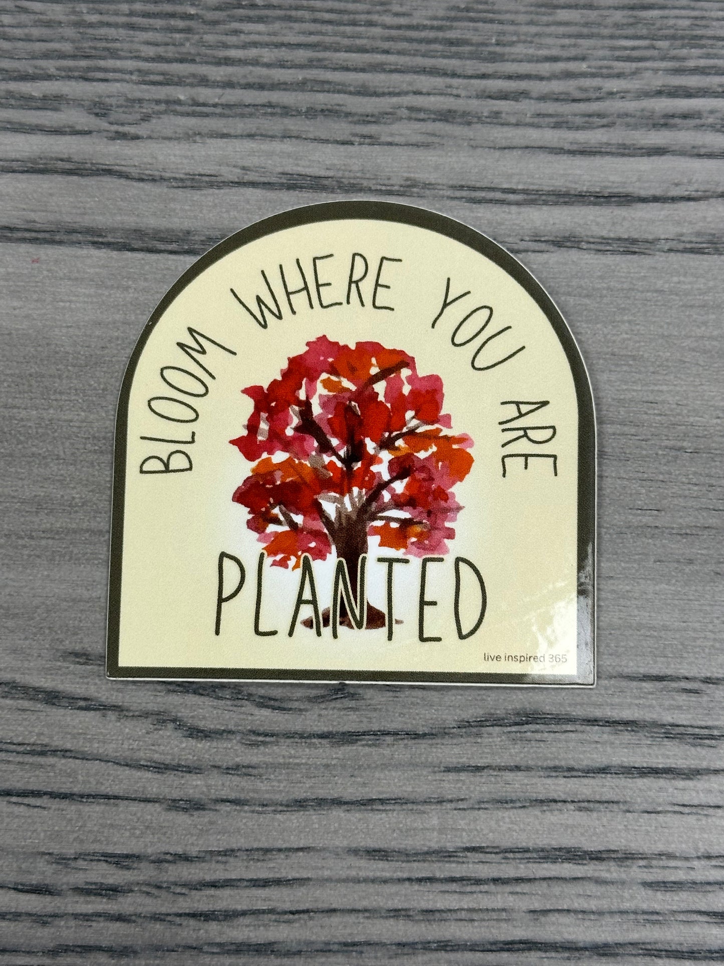 Bloom Where You Are Planted - Tree | Sticker