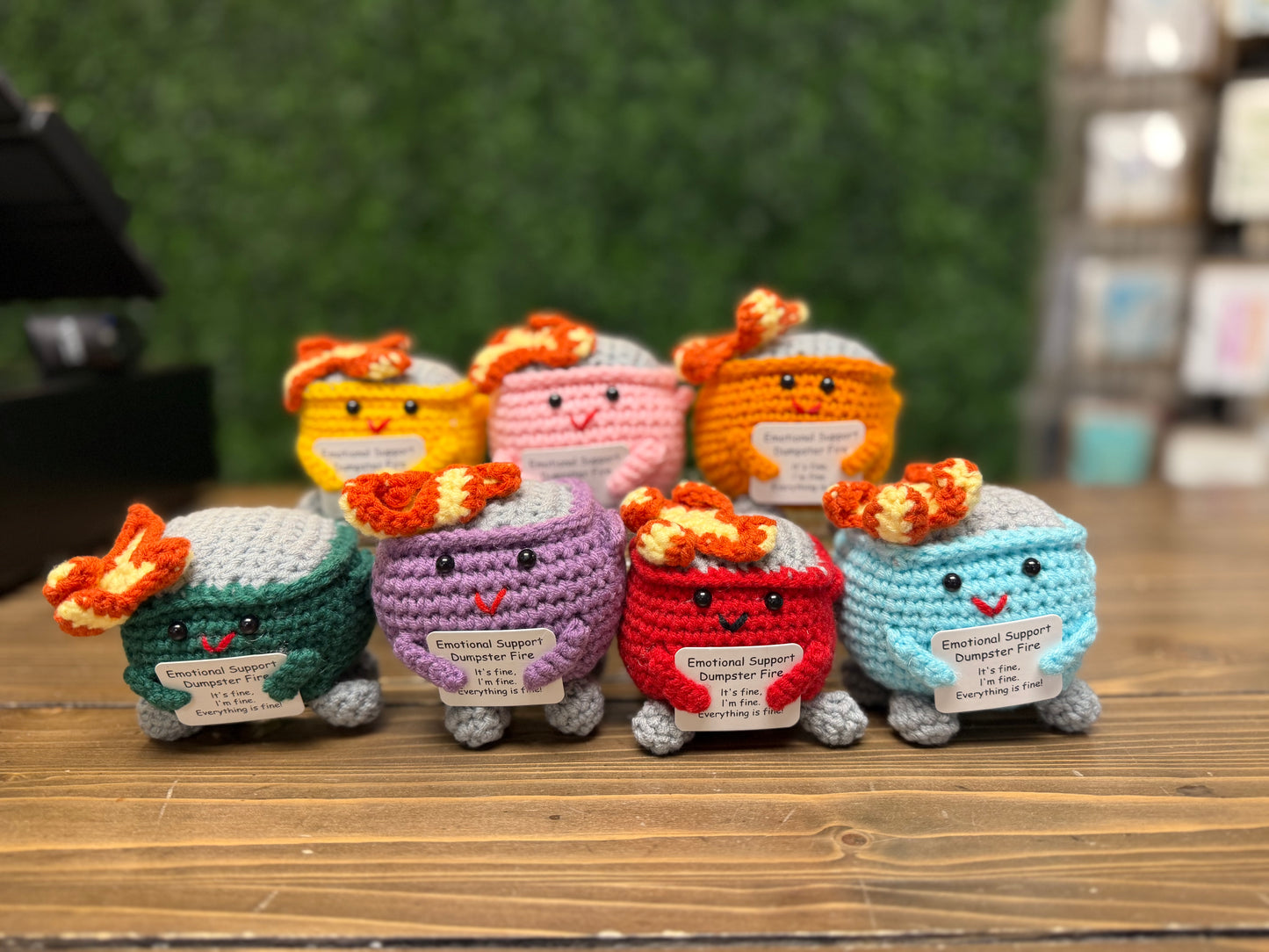 Emotional Support Dumpster Fire