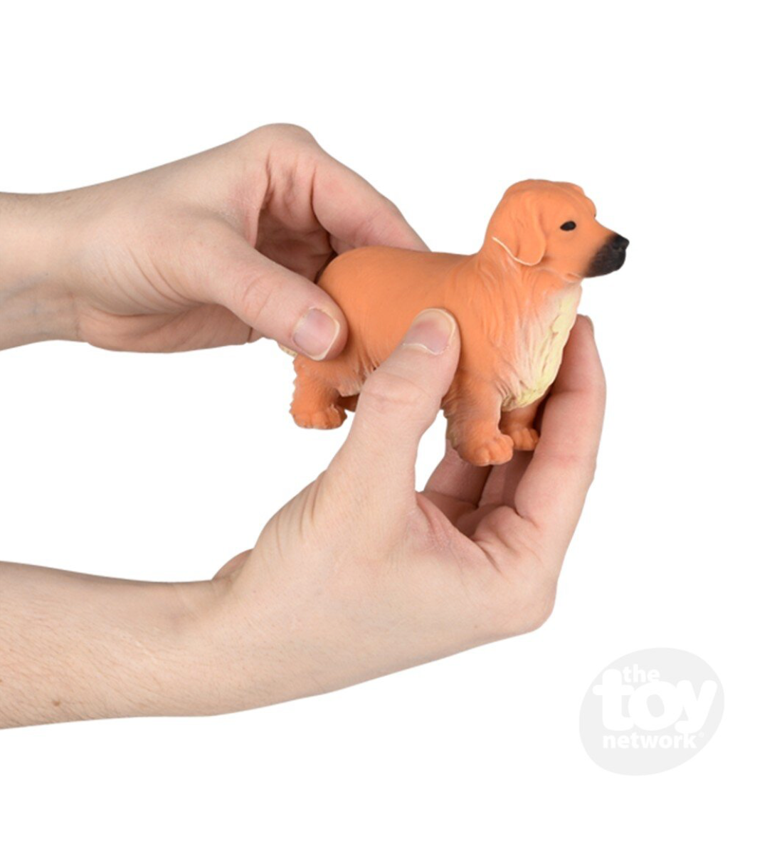 Stretchy Golden Retriever