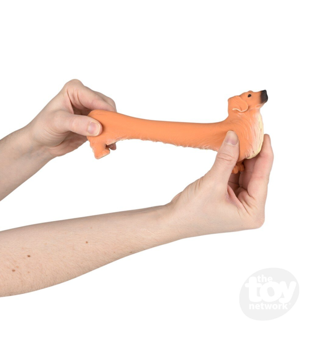 Stretchy Golden Retriever