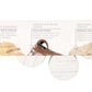 Farmhouse Fresh "Fast Fix Mask" Sampler Set