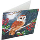 Barn Owl Crystal Art Card Kit