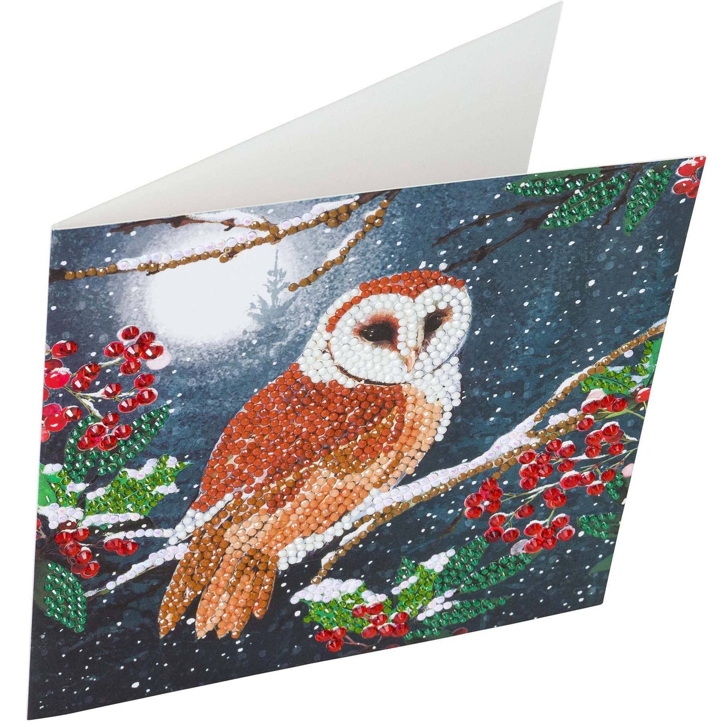 Barn Owl Crystal Art Card Kit