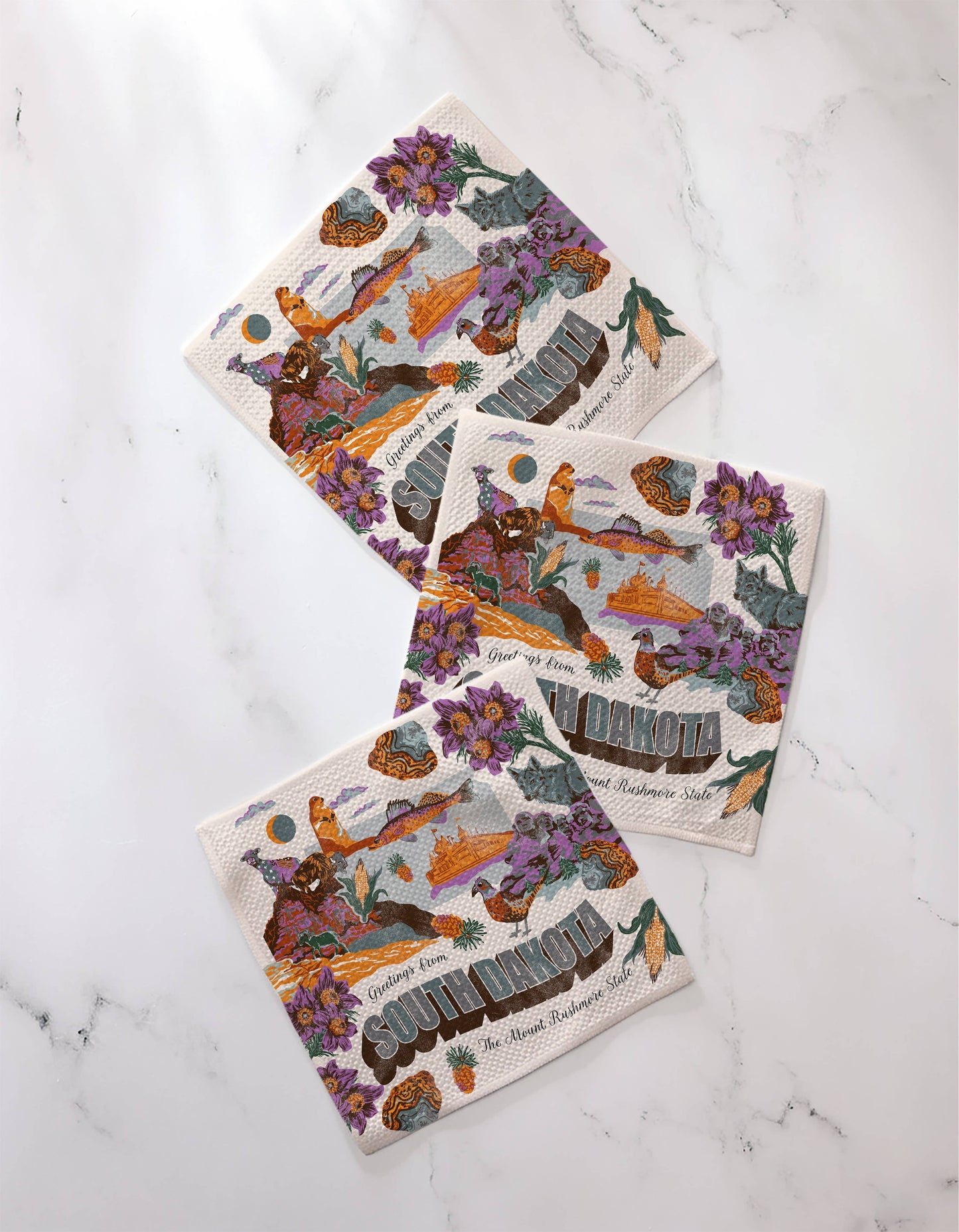 Greetings From South Dakota Geometry Dishcloth Set