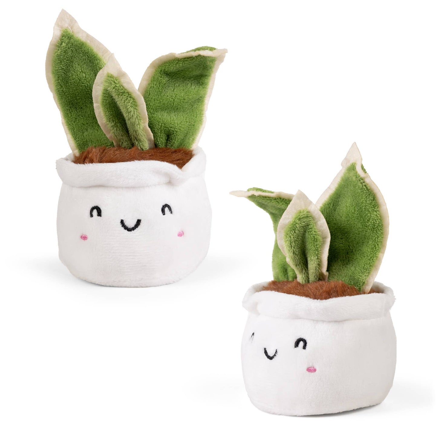 LITTLE GREENS Cute Plants
