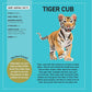 My Sticker Paintings - Baby Animals - 10 Adorable Paintings