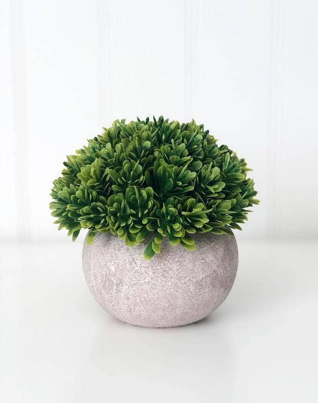 Faux Plant