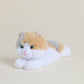 Calico Cat Warmies Junior
