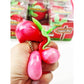 Funny Strawberry Squishy Toy