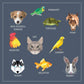 My Sticker Paintings: Pets