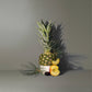 Skinny Dipping Reed Diffuser