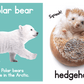 Adorable Animals Touch and Feel Book