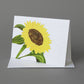 Sunflower Box
