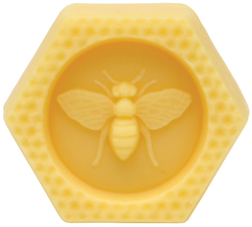 Bee Manly Hands Solid Lotion