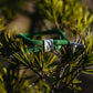 Move Mountains | Bracelet