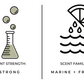 Skinny Dipping Reed Diffuser