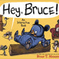 Hey Bruce!