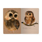 Owlets Notebook